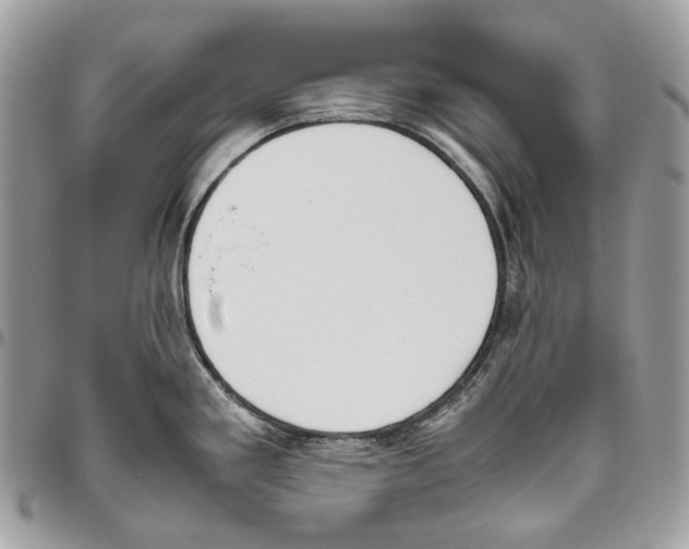 X0000095891293200802081109
