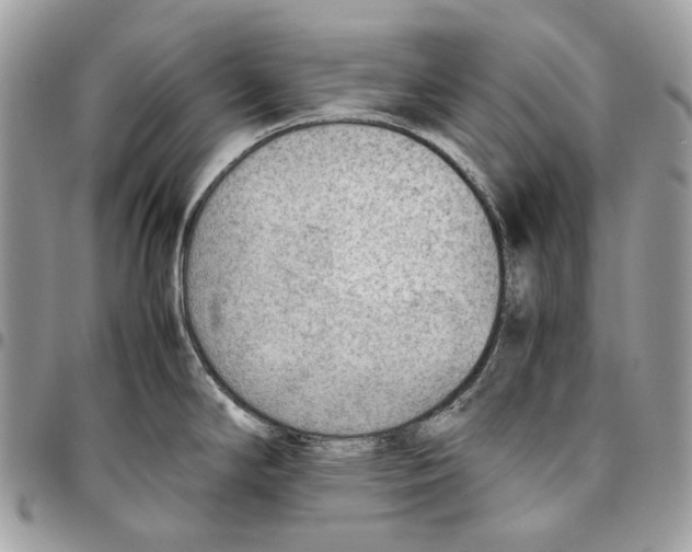 X0000095891294200802081109