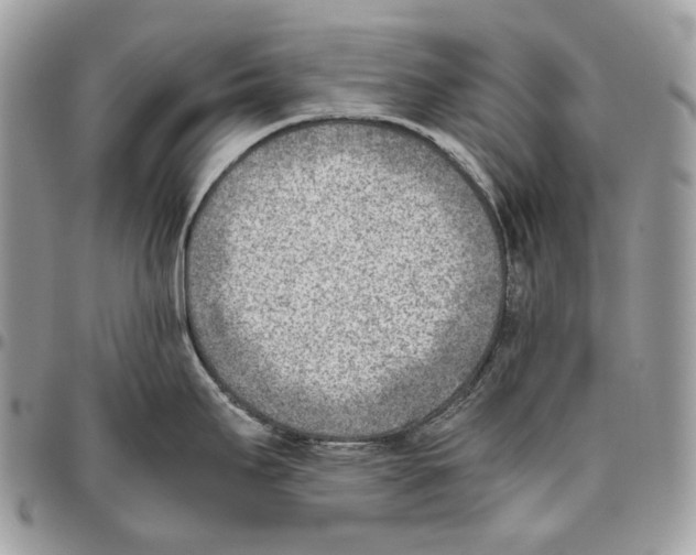 X0000095891295200802081109