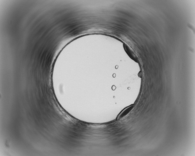X0000095891296200802081109