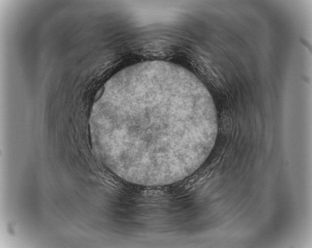 X0000095891297200802081108