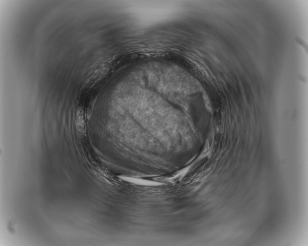 X0000095891298200802081108