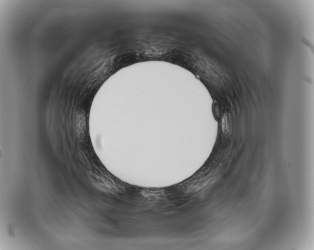 X0000095891299200802081108