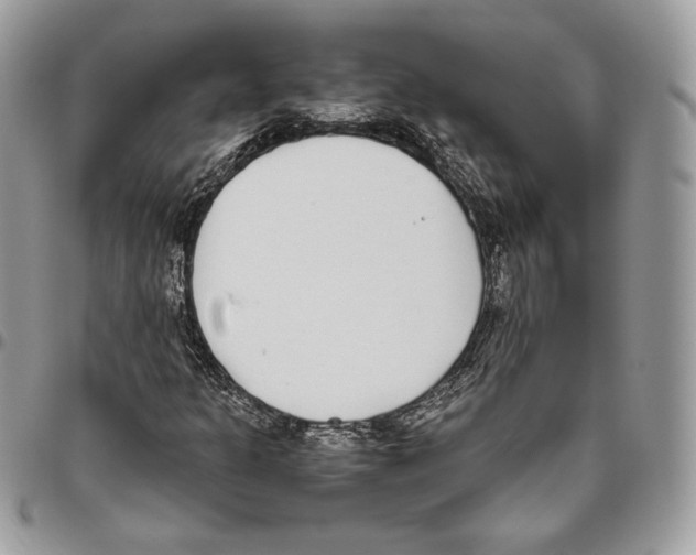X0000095891301200802081108