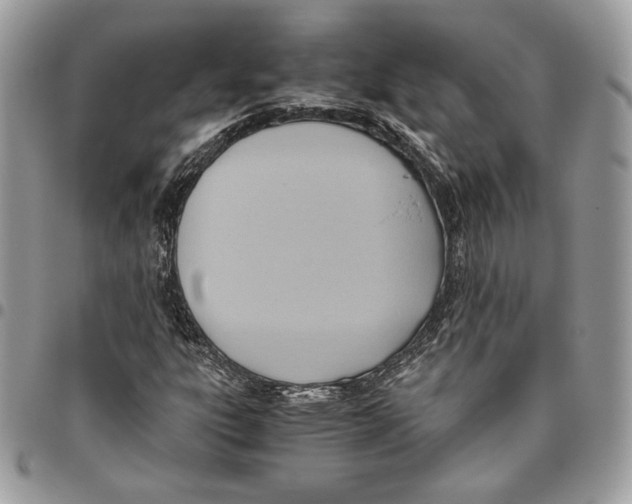 X0000095891303200802081108