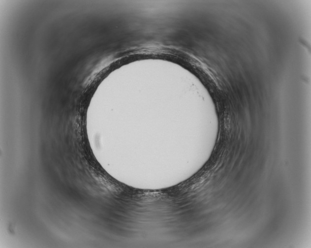 X0000095891304200802081108