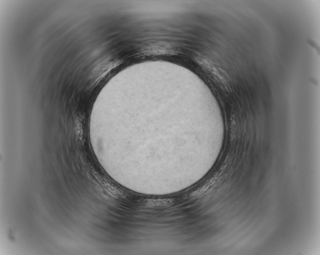 X0000095891305200802081108