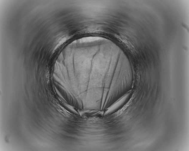 X0000095891306200802081108