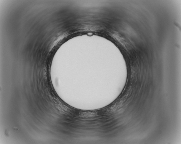 X0000095891307200802081108