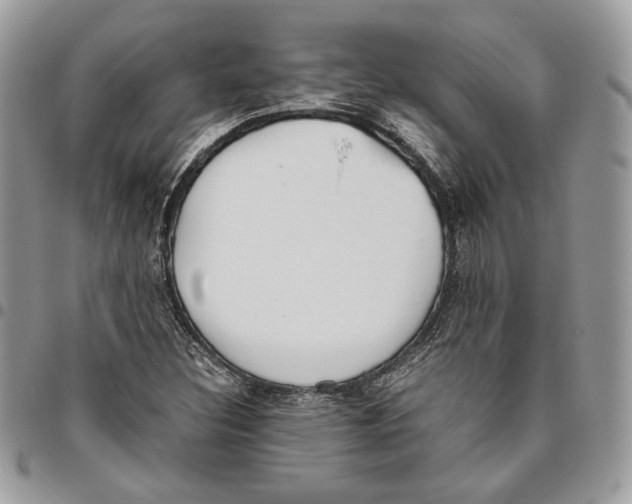 X0000095891308200802081108
