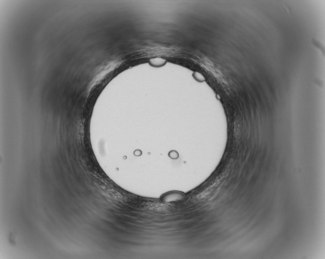 X0000095891309200802081108