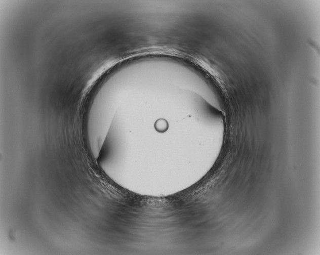 X0000095891310200802081108