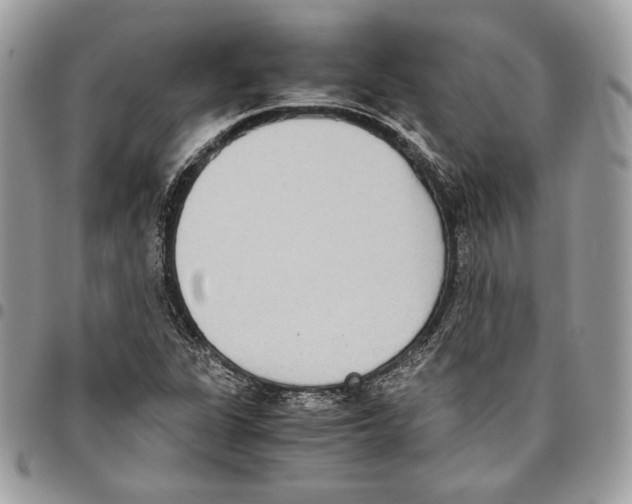 X0000095891311200802081108