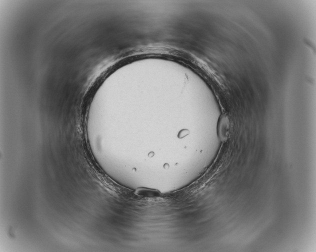 X0000095891312200802081108
