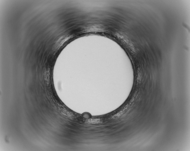 X0000095891313200802081108