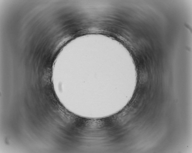 X0000095891314200802081108