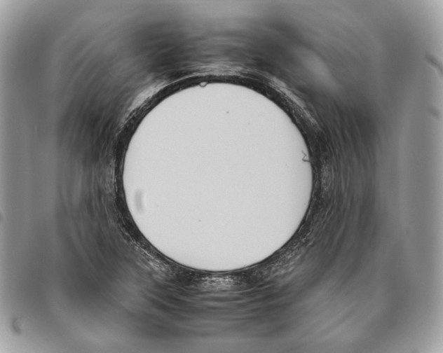 X0000095891315200802081108