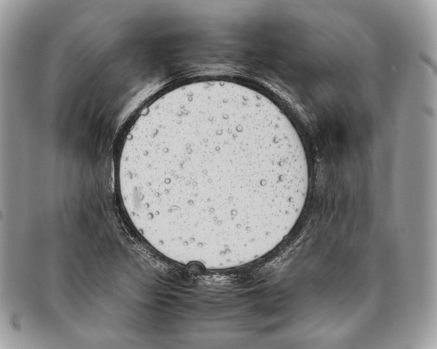 X0000095891317200802081108