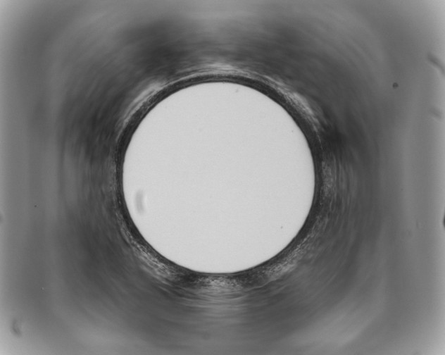 X0000095891318200802081108
