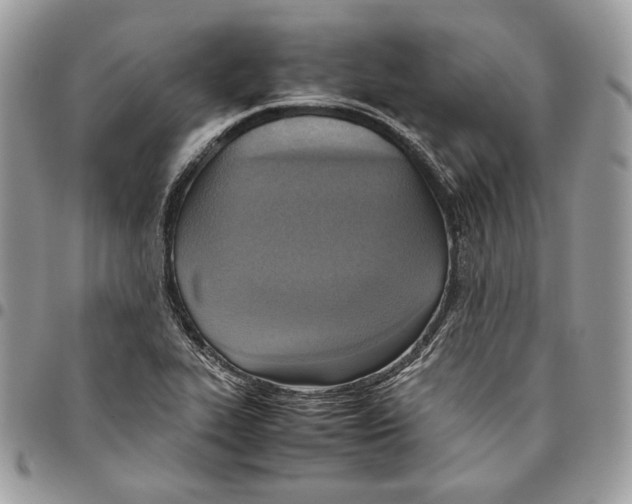 X0000095891319200802081108
