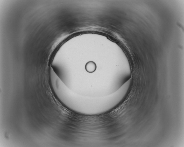 X0000095891320200802081108