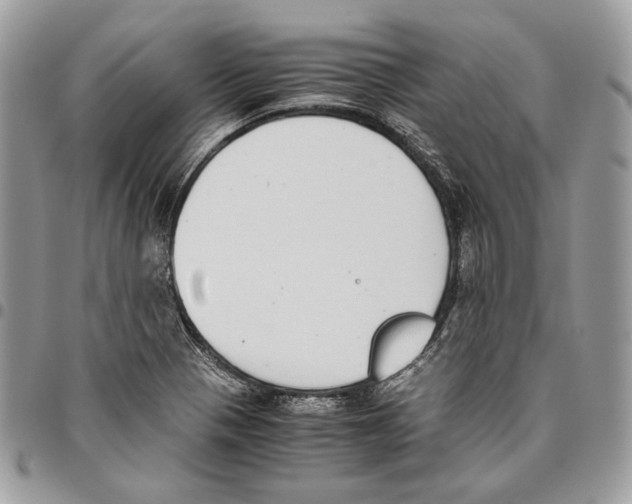 X0000095891321200802081108
