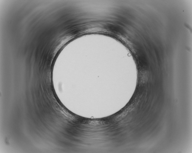 X0000095891322200802081108