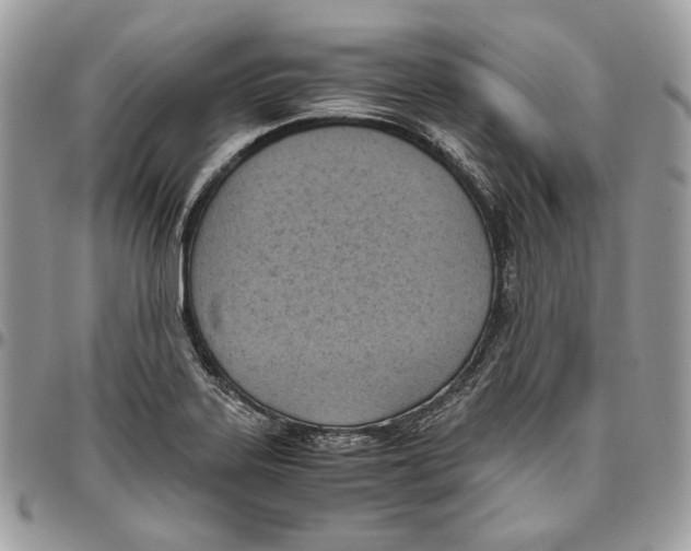 X0000095891323200802081108