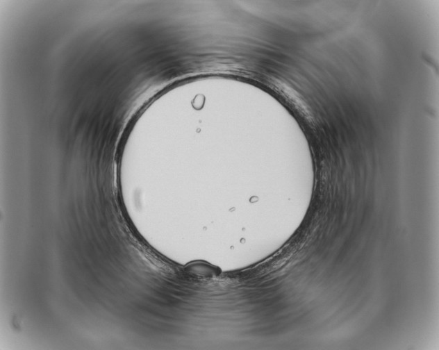X0000095891324200802081108