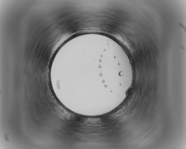 X0000095891325200802081108