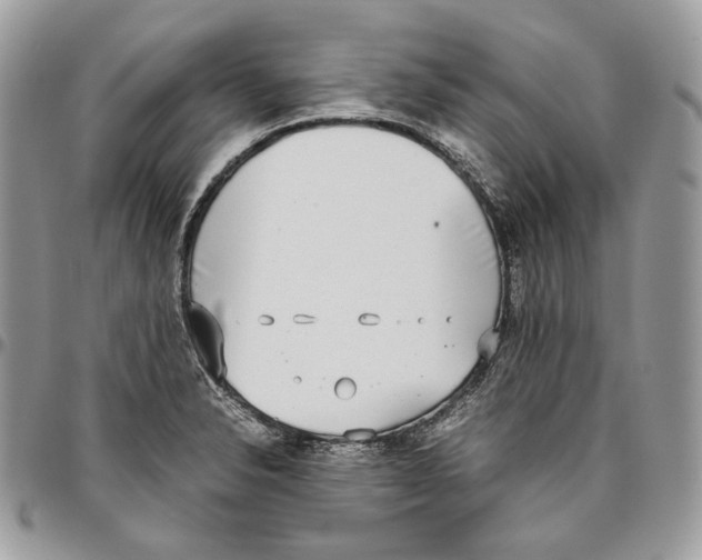 X0000095891326200802081108