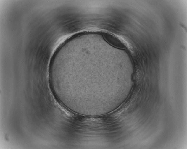 X0000095891327200802081108