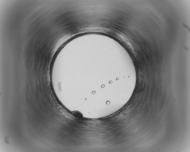 X0000095891328200802081108