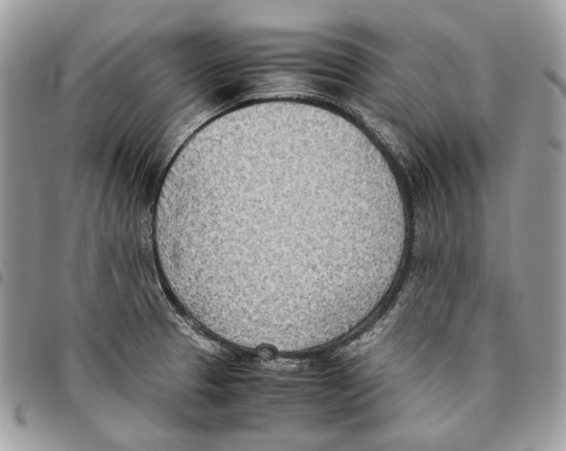 X0000095891329200802081108