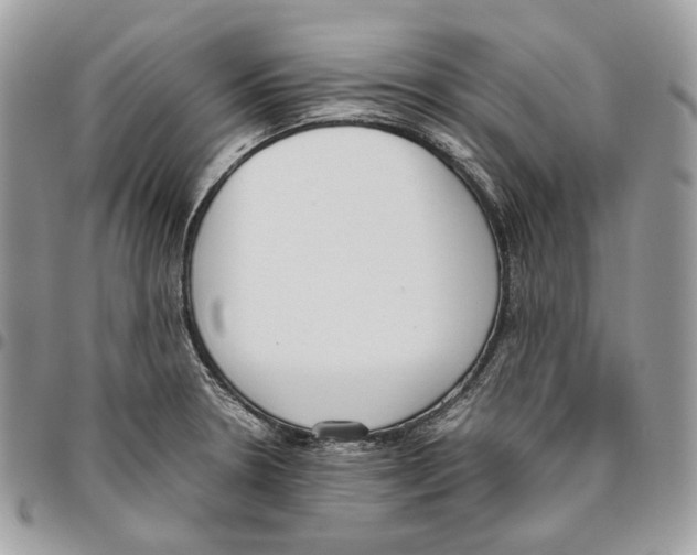 X0000095891330200802081108