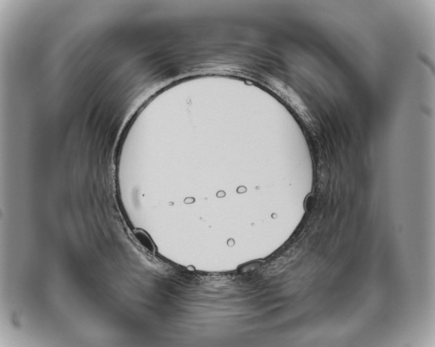 X0000095891332200802081108