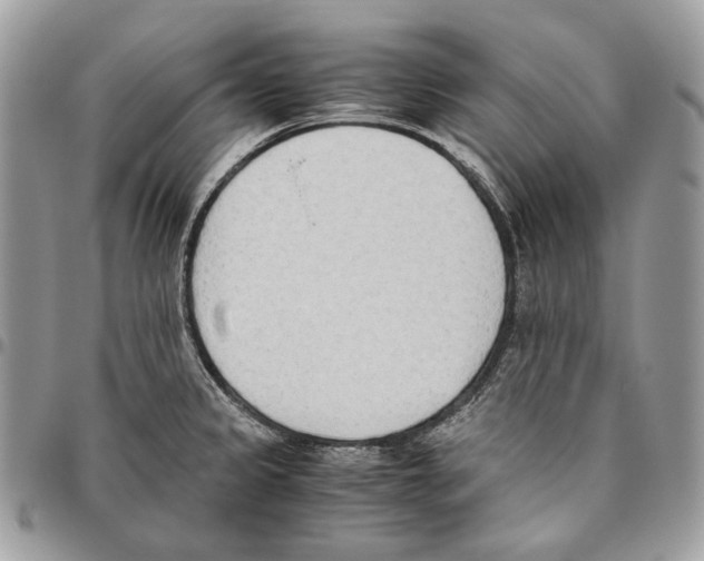 X0000095891333200802081108