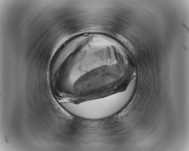 X0000095891334200802081108