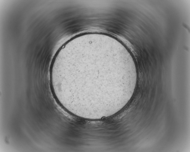 X0000095891335200802081108