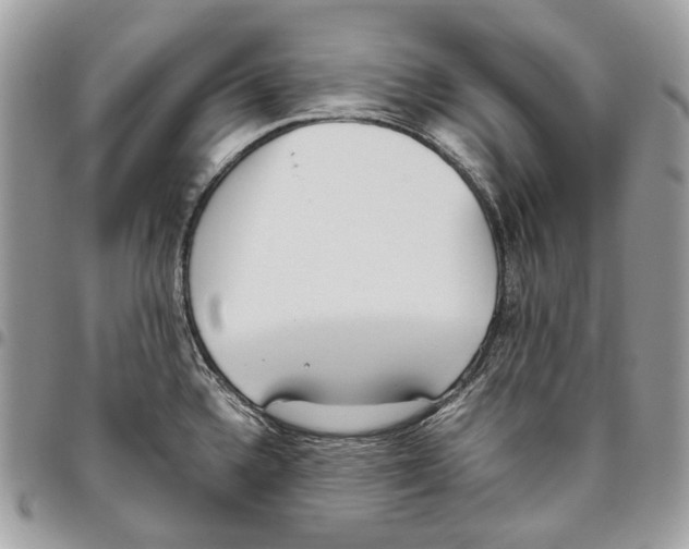 X0000095891336200802081108