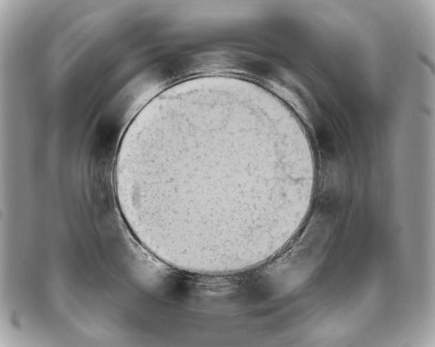 X0000095891338200802081108