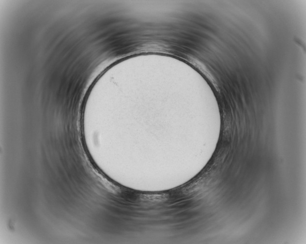 X0000095891339200802081108