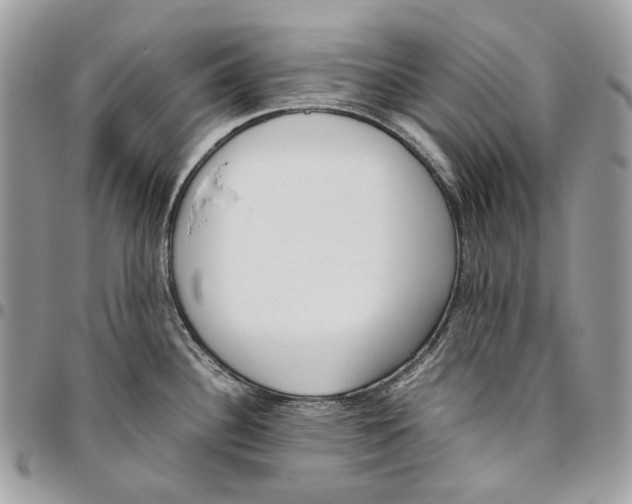 X0000095891340200802081109