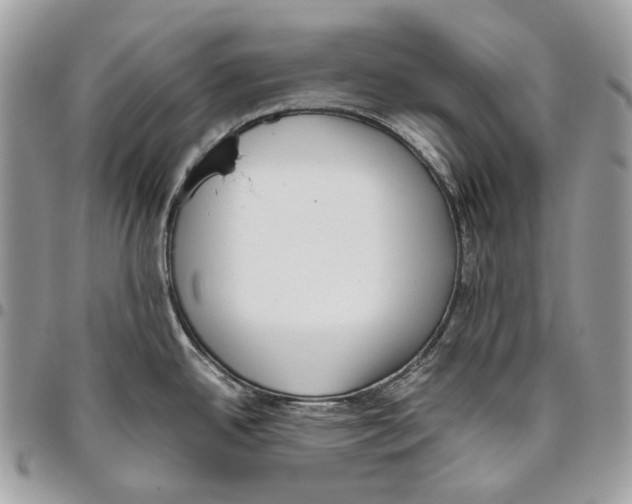 X0000095891342200802081109