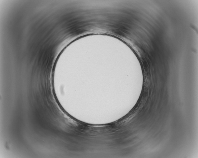 X0000095891343200802081109