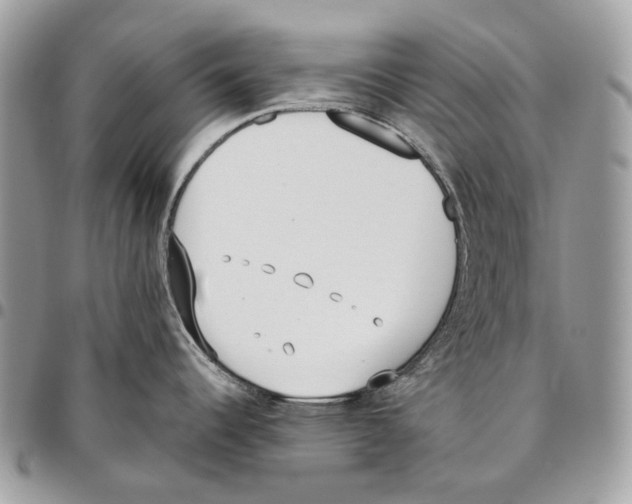 X0000095891344200802081109