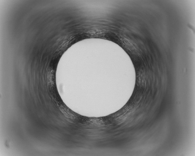 X0000095891346200802081108