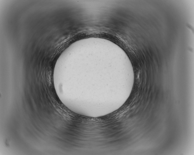X0000095891348200802081108