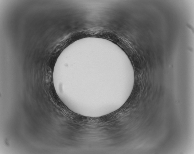 X0000095891349200802081108