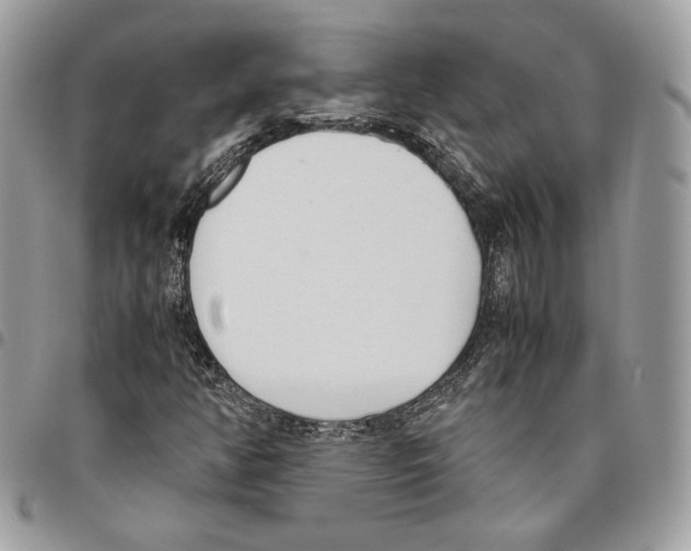 X0000095891350200802081108